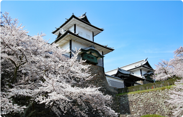 NOAH  Co., Ltd. announces new options for travel arrangements and limousine services.