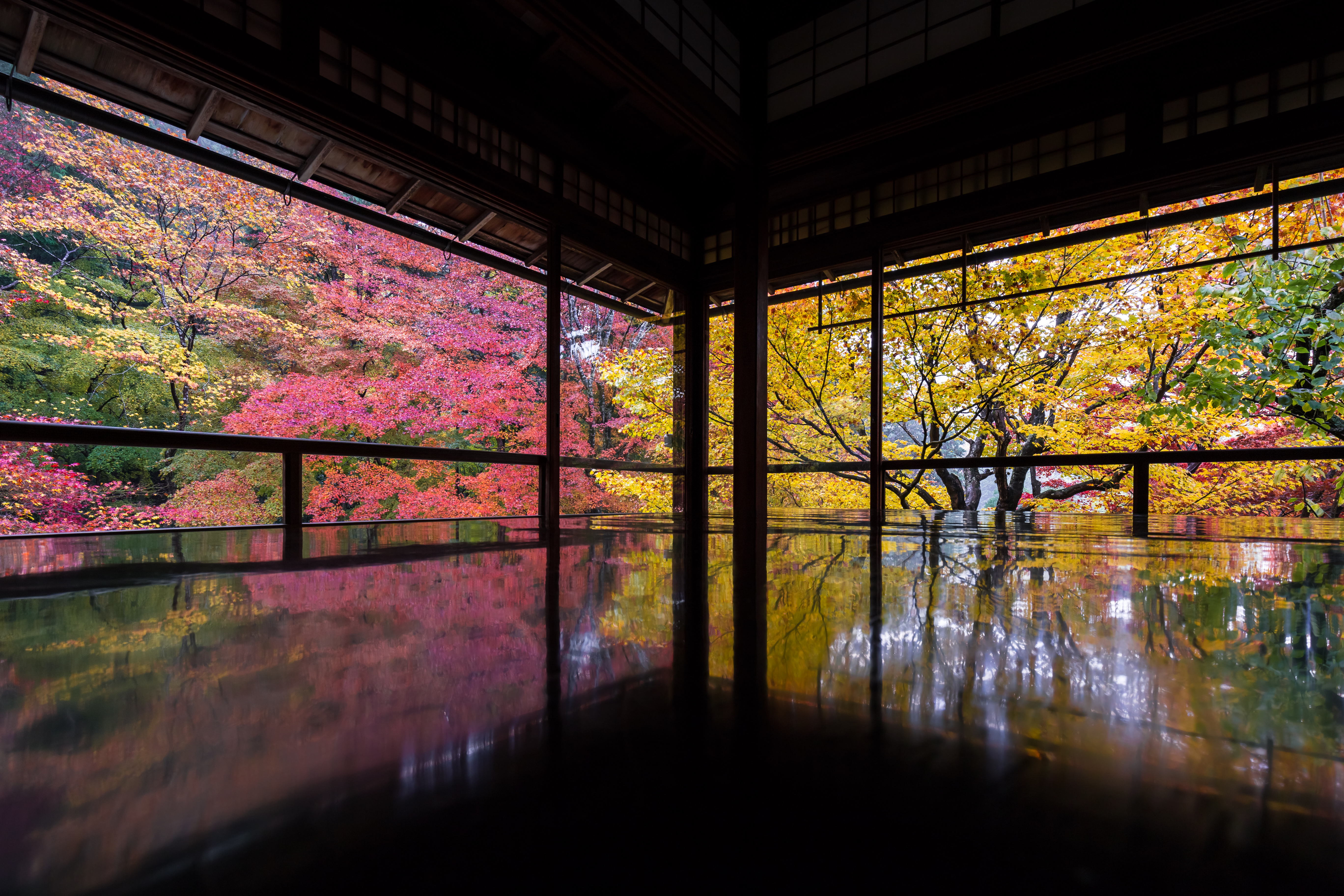 1720428396143564.jpeg AdobeStock_184001926.jpeg