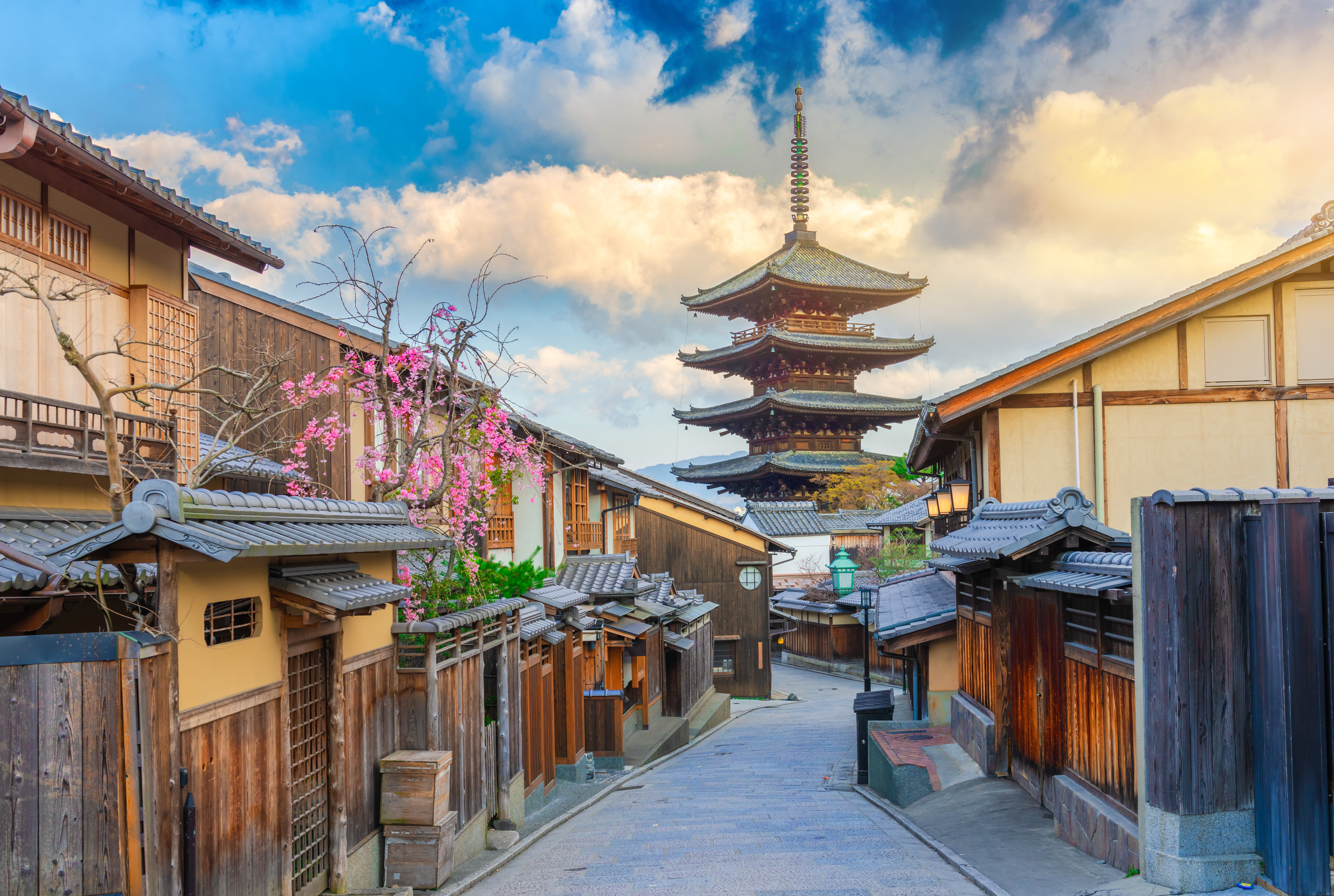 AdobeStock_258945213.jpeg